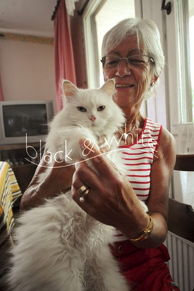 Miezie ist wieder da01